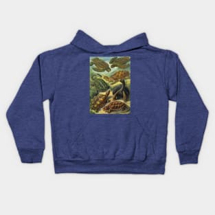 Sea Turtles and Tortoises, Chelonia by Ernst Haeckel Kids Hoodie